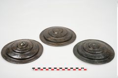 Foto von Bronzephalere (NHMW-PRAE-025641)